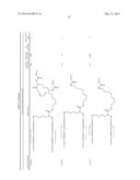 PEPTIDES THAT BIND TO THE ERYTHROPOIETIN RECEPTOR diagram and image