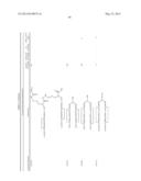 PEPTIDES THAT BIND TO THE ERYTHROPOIETIN RECEPTOR diagram and image