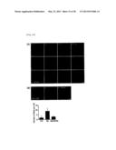 METHOD FOR INHIBITING THE INDUCTION OF CELL DEATH BY INHIBITING THE     SYNTHESIS OR SECRETION OF AGE-ALBUMIN IN CELLS OF THE MONONUCLEAR     PHAGOCYTE SYSTEM diagram and image