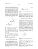 SUBSTITUTED ISOQUINOLINES AND THEIR USE AS TUBULIN POLYMERIZATION     INHIBITORS diagram and image