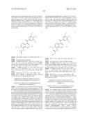 SUBSTITUTED ISOQUINOLINES AND THEIR USE AS TUBULIN POLYMERIZATION     INHIBITORS diagram and image