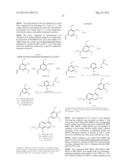 SUBSTITUTED ISOQUINOLINES AND THEIR USE AS TUBULIN POLYMERIZATION     INHIBITORS diagram and image