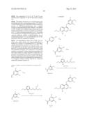 SUBSTITUTED ISOQUINOLINES AND THEIR USE AS TUBULIN POLYMERIZATION     INHIBITORS diagram and image