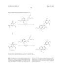 SUBSTITUTED ISOQUINOLINES AND THEIR USE AS TUBULIN POLYMERIZATION     INHIBITORS diagram and image