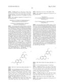 SUBSTITUTED ISOQUINOLINES AND THEIR USE AS TUBULIN POLYMERIZATION     INHIBITORS diagram and image