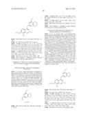 SUBSTITUTED ISOQUINOLINES AND THEIR USE AS TUBULIN POLYMERIZATION     INHIBITORS diagram and image