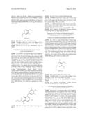 SUBSTITUTED ISOQUINOLINES AND THEIR USE AS TUBULIN POLYMERIZATION     INHIBITORS diagram and image