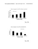 NOVEL PSYCHOTROPIC AGENTS HAVING GLUTAMATE NMDA ACTIVITY diagram and image