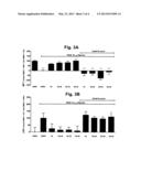 COMPOUNDS AND METHODS OF TREATING BRAIN DISORDERS diagram and image