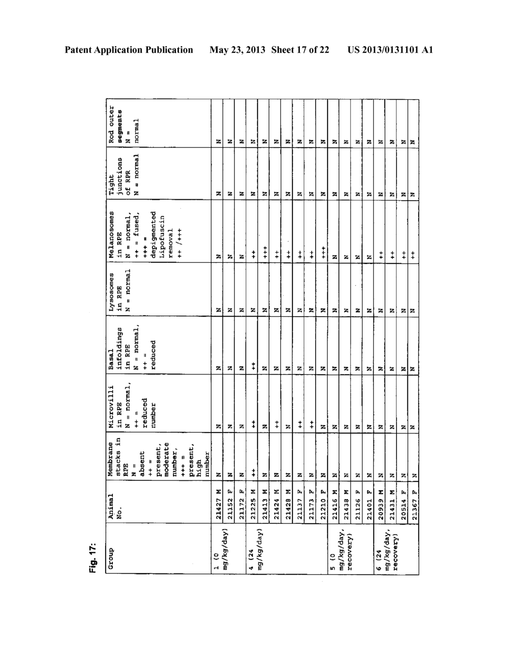 TETRAHYDROPYRIDOETHERS FOR TREATMENT OF AMD - diagram, schematic, and image 18