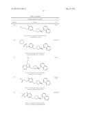 BIFUNCTIONAL RHO KINASE INHIBITOR COMPOUNDS, COMPOSITION AND USE diagram and image