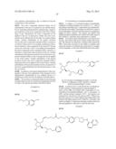 BIFUNCTIONAL RHO KINASE INHIBITOR COMPOUNDS, COMPOSITION AND USE diagram and image