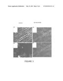 NMN MODULATORS FOR THE TREATMENT OF NEURODEGENERATIVE DISORDERS diagram and image