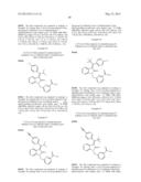 NOVEL ALKENE OXINDOLE DERIVATIVES diagram and image