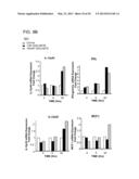 TREATMENT OF DIABETES AND DISORDERS ASSOCIATED WITH VISCERAL OBESITY WITH     INHIBITORS OF HUMAN ARACHIDONATE 12 LIPOXYGENASE AND ARACHIDONATE     15-LIPOXYGENASE diagram and image