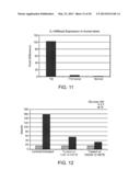 TREATMENT OF DIABETES AND DISORDERS ASSOCIATED WITH VISCERAL OBESITY WITH     INHIBITORS OF HUMAN ARACHIDONATE 12 LIPOXYGENASE AND ARACHIDONATE     15-LIPOXYGENASE diagram and image