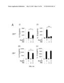 Compositions and Methods for Treating Pulmonary Conditions diagram and image