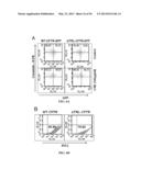 Compositions and Methods for Treating Pulmonary Conditions diagram and image