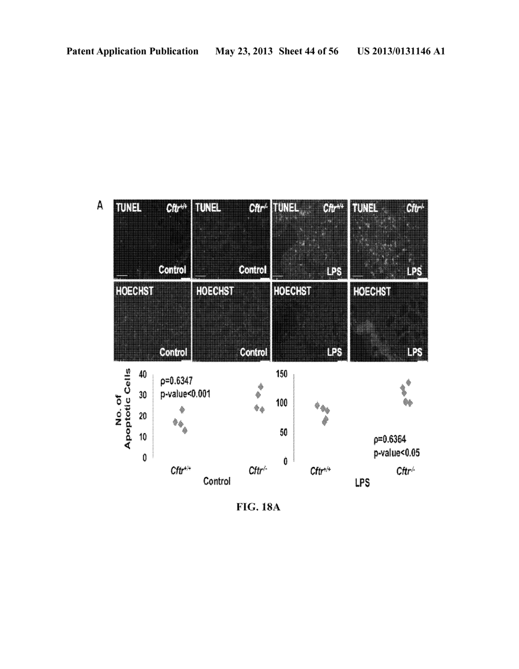 Compositions and Methods for Treating Pulmonary Conditions - diagram, schematic, and image 45