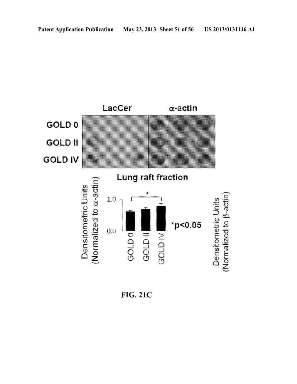 Compositions and Methods for Treating Pulmonary Conditions - diagram, schematic, and image 52