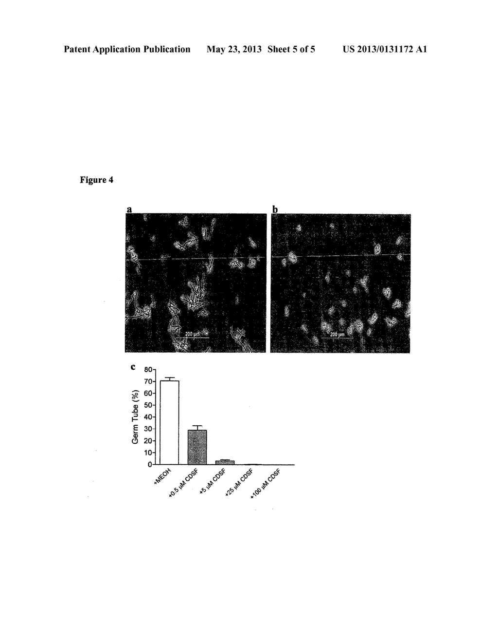 NOVEL ANTIMICROBIAL COMPOUNDS AND USES THEREOF - diagram, schematic, and image 06