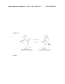 MODIFICATION OF SURFACES WITH POLYMERS diagram and image