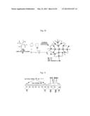 SYNTHESIS OF DENDRITIC POLYOLEFINS BY METATHESIS INSERTION POLYMERIZATION diagram and image