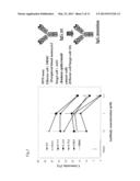 HIGHLY-FUNCTIONAL MUTANT OF HUMANIZED ANTI-EGFR ANTIBODY VARIABLE REGION diagram and image