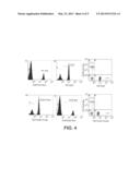 Novel Fluorescent Dyes and Uses Thereof diagram and image