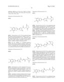 Novel Fluorescent Dyes and Uses Thereof diagram and image