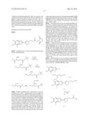 Novel Fluorescent Dyes and Uses Thereof diagram and image