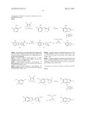 Novel Fluorescent Dyes and Uses Thereof diagram and image