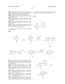 Novel Fluorescent Dyes and Uses Thereof diagram and image