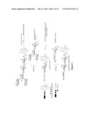 GLYCOPROTEIN SYNTHESIS AND REMODELING BY ENZYMATIC TRANSGLYCOSYLATION diagram and image