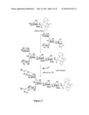 GLYCOPROTEIN SYNTHESIS AND REMODELING BY ENZYMATIC TRANSGLYCOSYLATION diagram and image