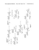 GLYCOPROTEIN SYNTHESIS AND REMODELING BY ENZYMATIC TRANSGLYCOSYLATION diagram and image