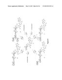 GLYCOPROTEIN SYNTHESIS AND REMODELING BY ENZYMATIC TRANSGLYCOSYLATION diagram and image