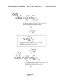 GLYCOPROTEIN SYNTHESIS AND REMODELING BY ENZYMATIC TRANSGLYCOSYLATION diagram and image