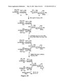 GLYCOPROTEIN SYNTHESIS AND REMODELING BY ENZYMATIC TRANSGLYCOSYLATION diagram and image