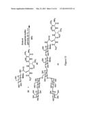 GLYCOPROTEIN SYNTHESIS AND REMODELING BY ENZYMATIC TRANSGLYCOSYLATION diagram and image