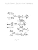 GLYCOPROTEIN SYNTHESIS AND REMODELING BY ENZYMATIC TRANSGLYCOSYLATION diagram and image