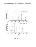 GLYCOPROTEIN SYNTHESIS AND REMODELING BY ENZYMATIC TRANSGLYCOSYLATION diagram and image