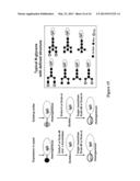 GLYCOPROTEIN SYNTHESIS AND REMODELING BY ENZYMATIC TRANSGLYCOSYLATION diagram and image