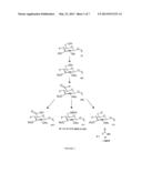 CELLULOSE INTERPOLYMERS AND METHOD OF OXIDATION diagram and image