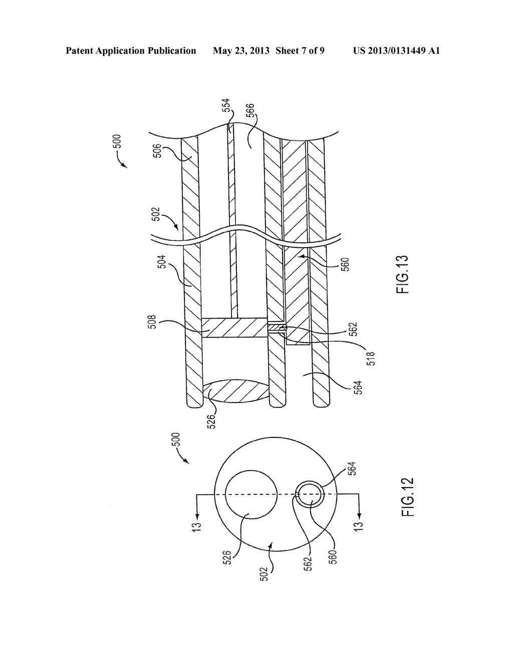 ENDOSCOPE INCLUDING A MULTIFUNCTION CONDUCTOR - diagram, schematic, and image 08