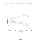 MULTIMODAL DETECTION OF TISSUE ABNORMALITIES BASED ON RAMAN AND BACKGROUND     FLUORESCENCE SPECTROSCOPY diagram and image