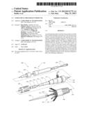 ENDOLUMINAL PROSTHESIS INTRODUCER diagram and image