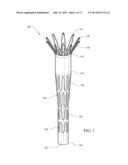 ENDOLUMINAL PROSTHESIS INTRODUCER diagram and image