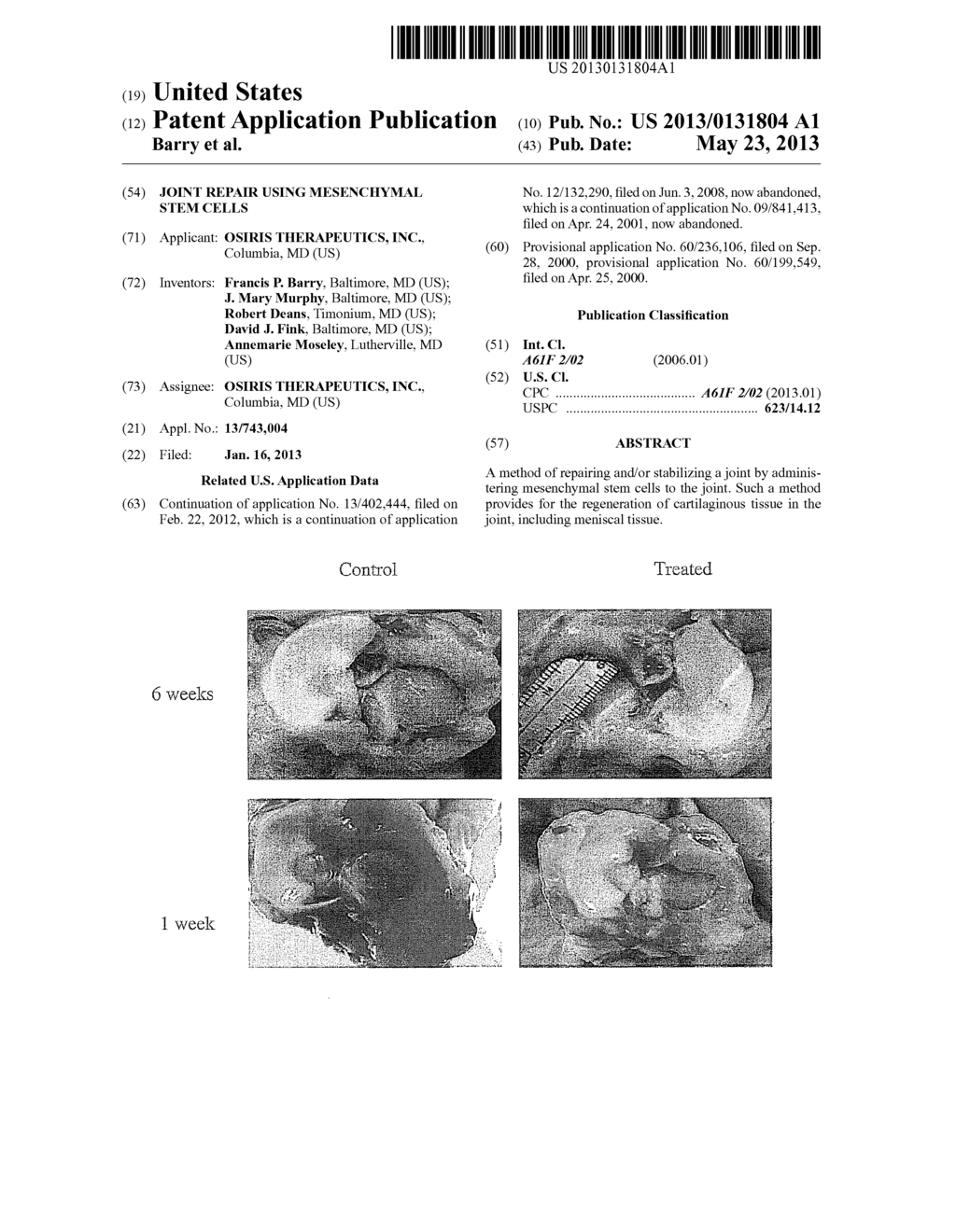 Joint Repair Using Mesenchymal Stem Cells - diagram, schematic, and image 01