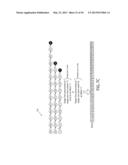 REVERSE NFA GENERATION AND PROCESSING diagram and image